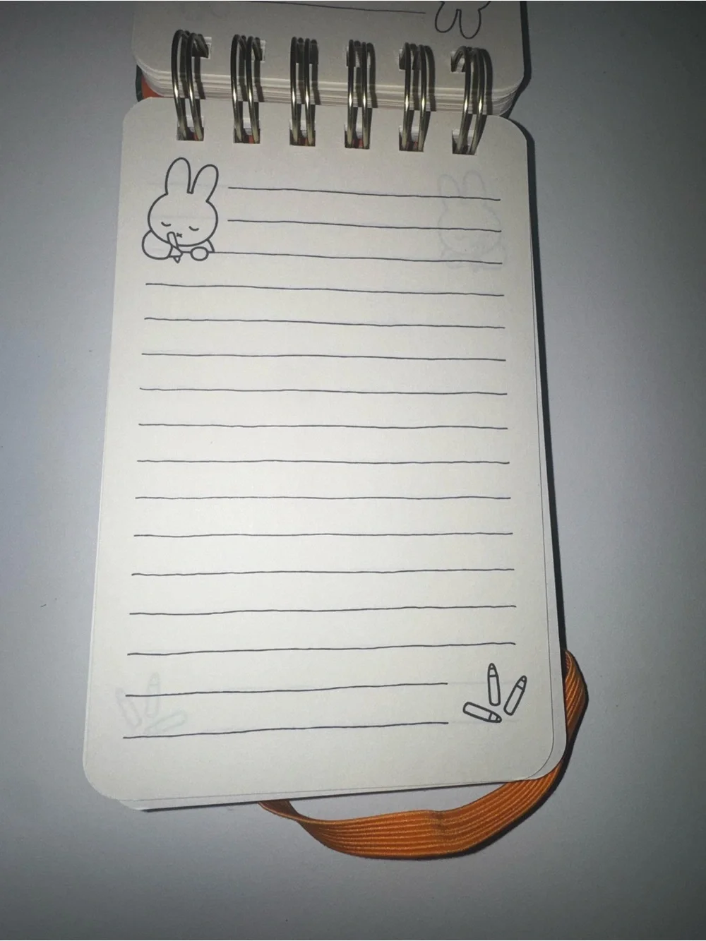 miffy Green Floral 2027 Monthly Planner & Matching Green Spiral Notebook